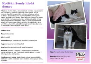 kočička Sendy – rezervovaná